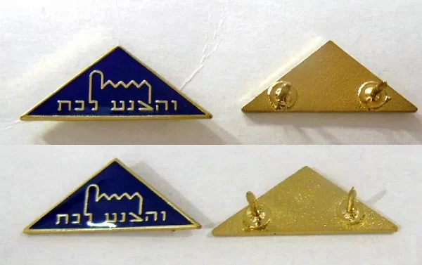 סיכות דש משולשות בצבע כחול וזהב של בית הספר הריאלי עם הכיתוב והצנע לכת ארוזות בשקיות פלסטיק שקופות